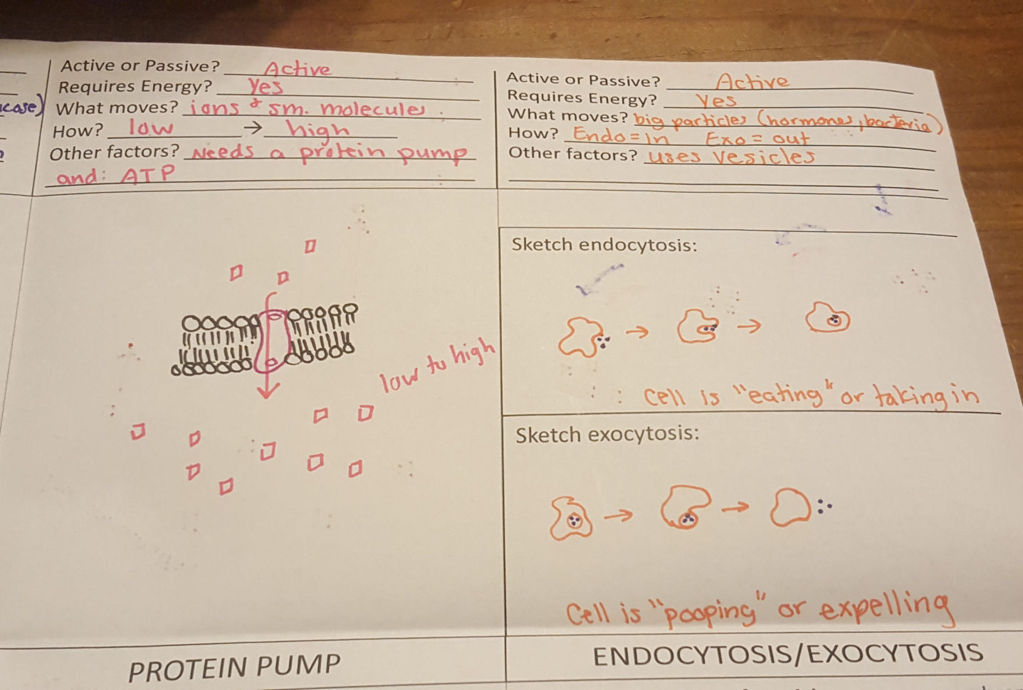 Biology  Notes  Helpful Documents