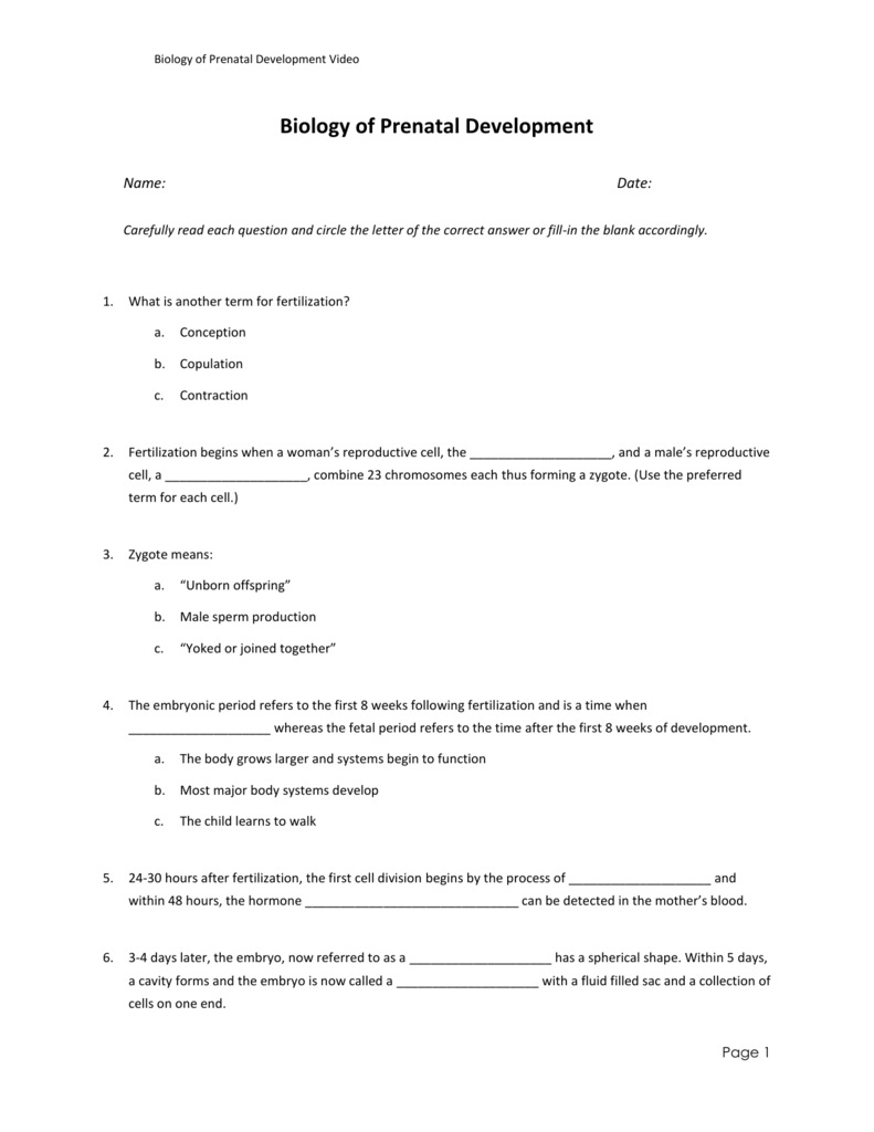 in-the-womb-national-geographic-worksheet-answer-key-db-excel