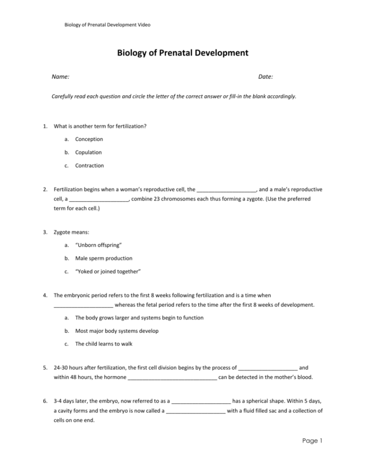 Biology Of Prenatal Development Worksheet