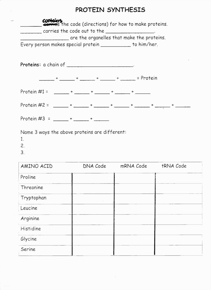 Biology Worksheets Dna  Justswimfl