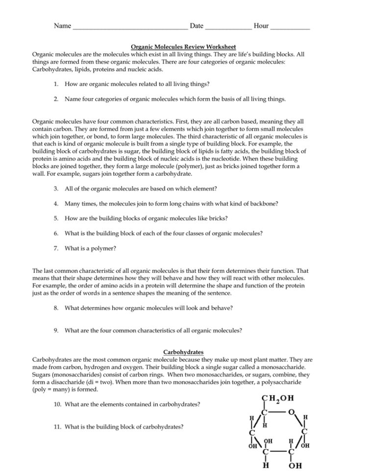Biomolecule Review Worksheet
