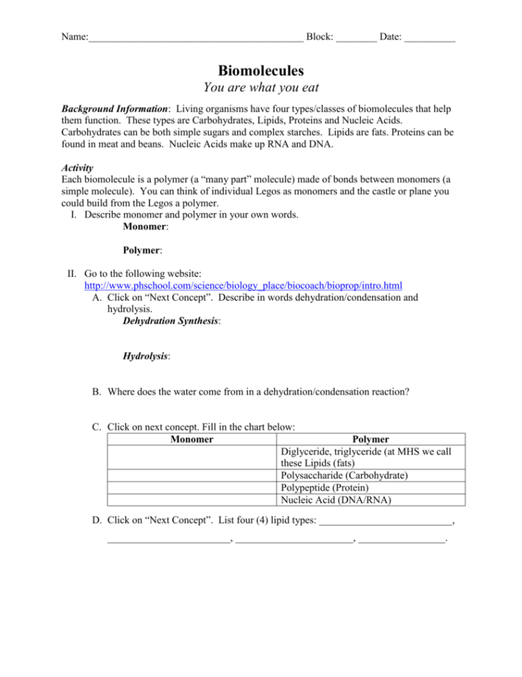 Biomolecule Webquestse