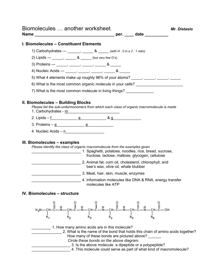 Biomolecules … Another Worksheet