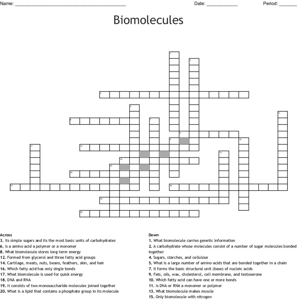 Biomolecules Crossword Word —