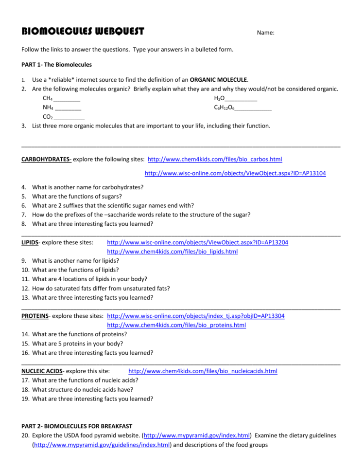 Biomolecules Webquest