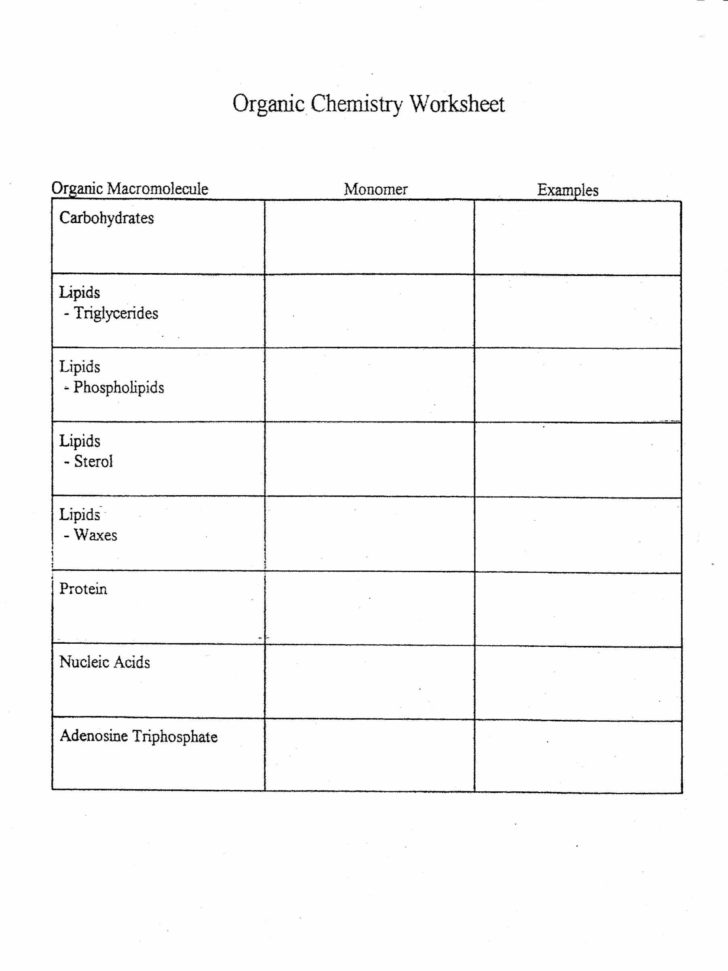 Biomolecules Worksheets Answer Key — db-excel.com