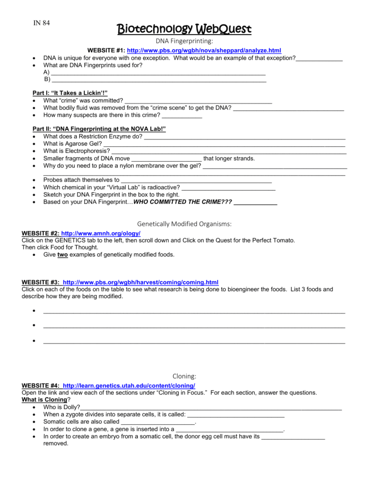 Biotechnology Webquest