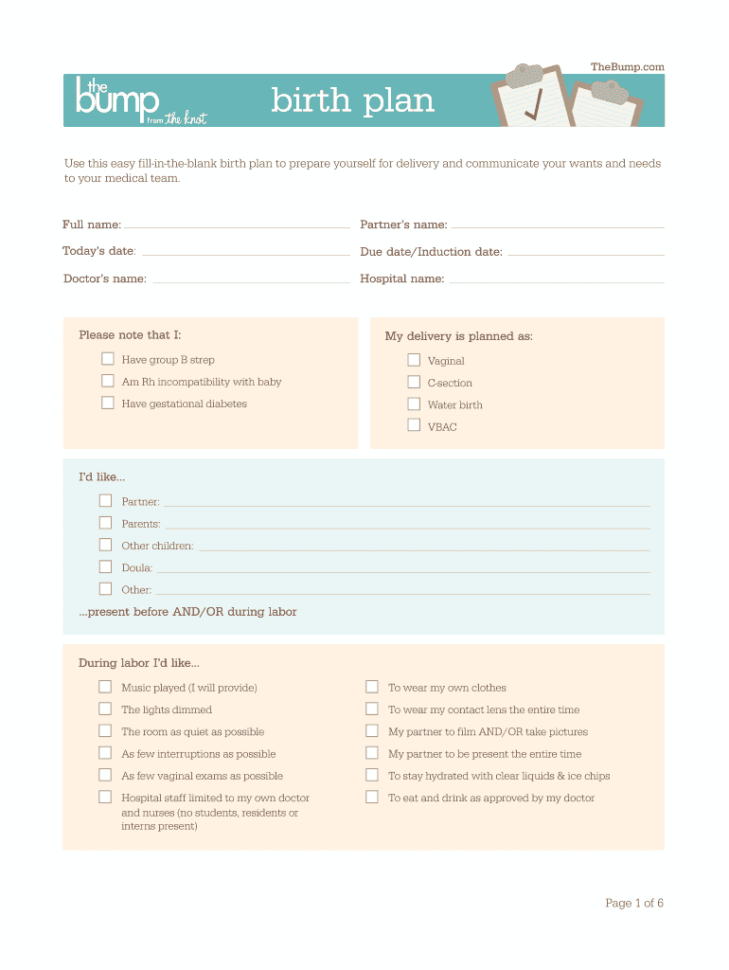 Birthing Plans  Fill Online Printable Fillable Blank