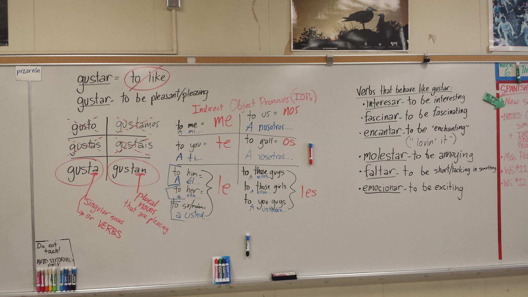Blog Posts  Señorgarnetweebly