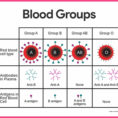 Blood Anatomy And Physiology Study Guide For Nurses