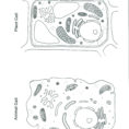 Blood Cell Coloring Sheets – Deucesheetco