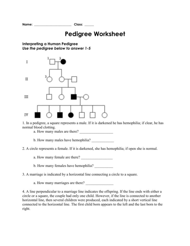 blood-types-worksheet-answers