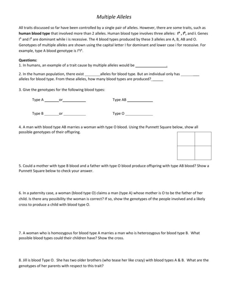 Blood Type And Inheritance Worksheet Answer Key — db-excel.com