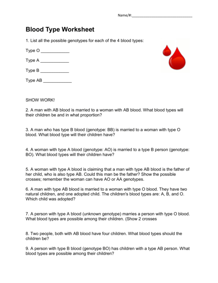 blood type assignment answer key