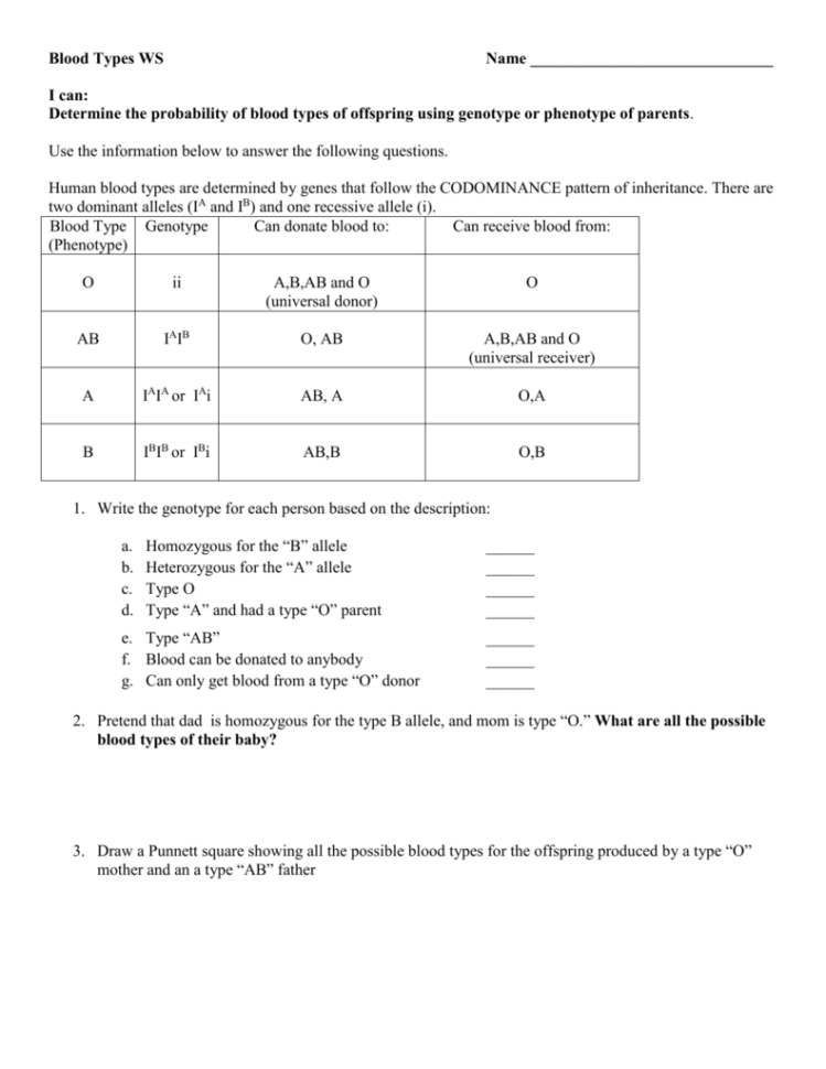 Blood Type And Inheritance Worksheet