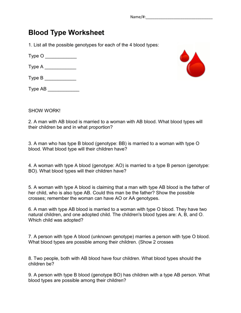 Blood Type And Inheritance Worksheet Answer Key — db-excel.com