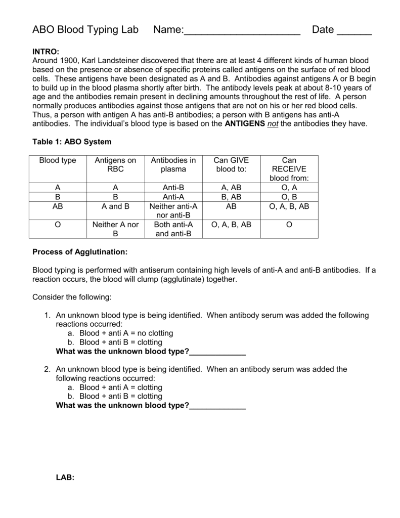 Blood Typing Lab And Questions