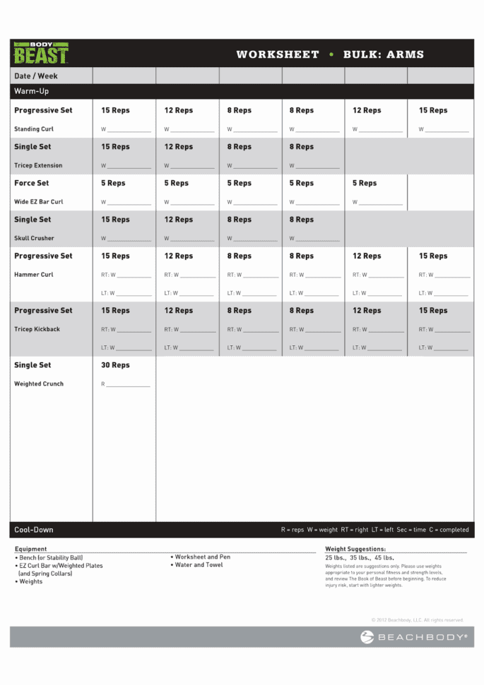 Body Beast Bulk Arms  Netvs