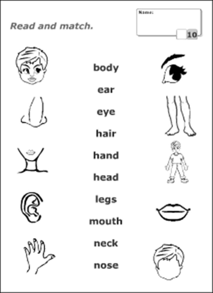 Body Image Worksheets Body Image Worksheets