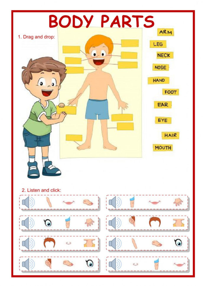 Body Parts  Interactive Worksheet