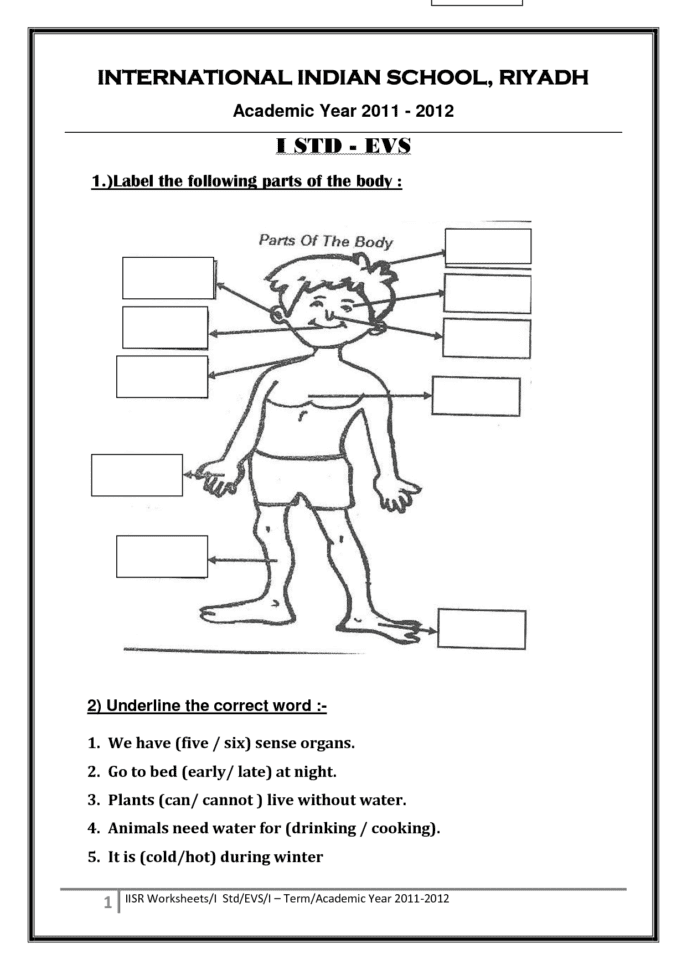 Body Parts Worksheets For Grade Parts Of The Human Body Grade