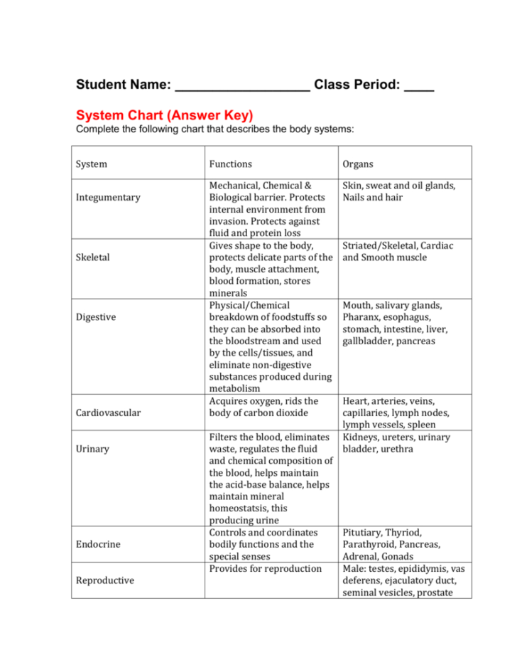 Body Systems Interactions Worksheet Answer Key