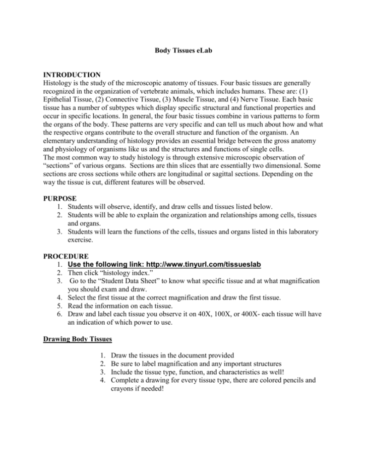 Body Tissues Worksheet