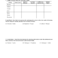 Bonding Basics Review Worksheet