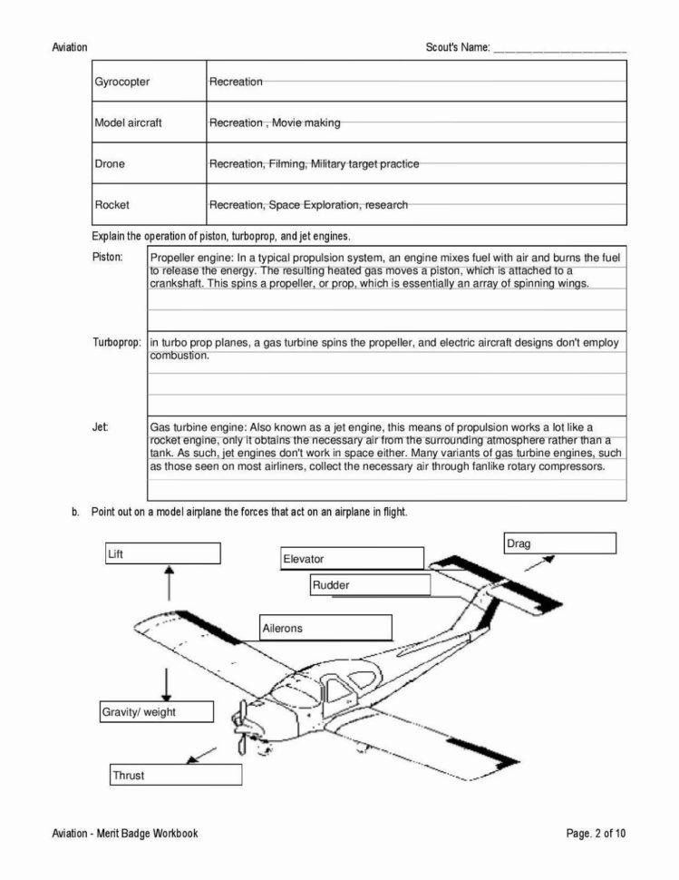 Boy Scout Cooking Merit Badge Worksheet