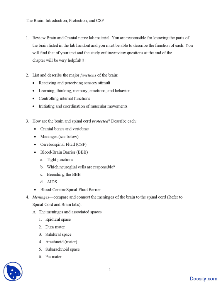 Brain Protection  Human Anatomy And Physiology  Quiz  Docsity