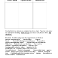Branches Of Ernment Worksheet