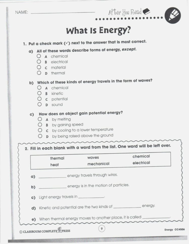 Branches Of Government Worksheet Pdf — db-excel.com