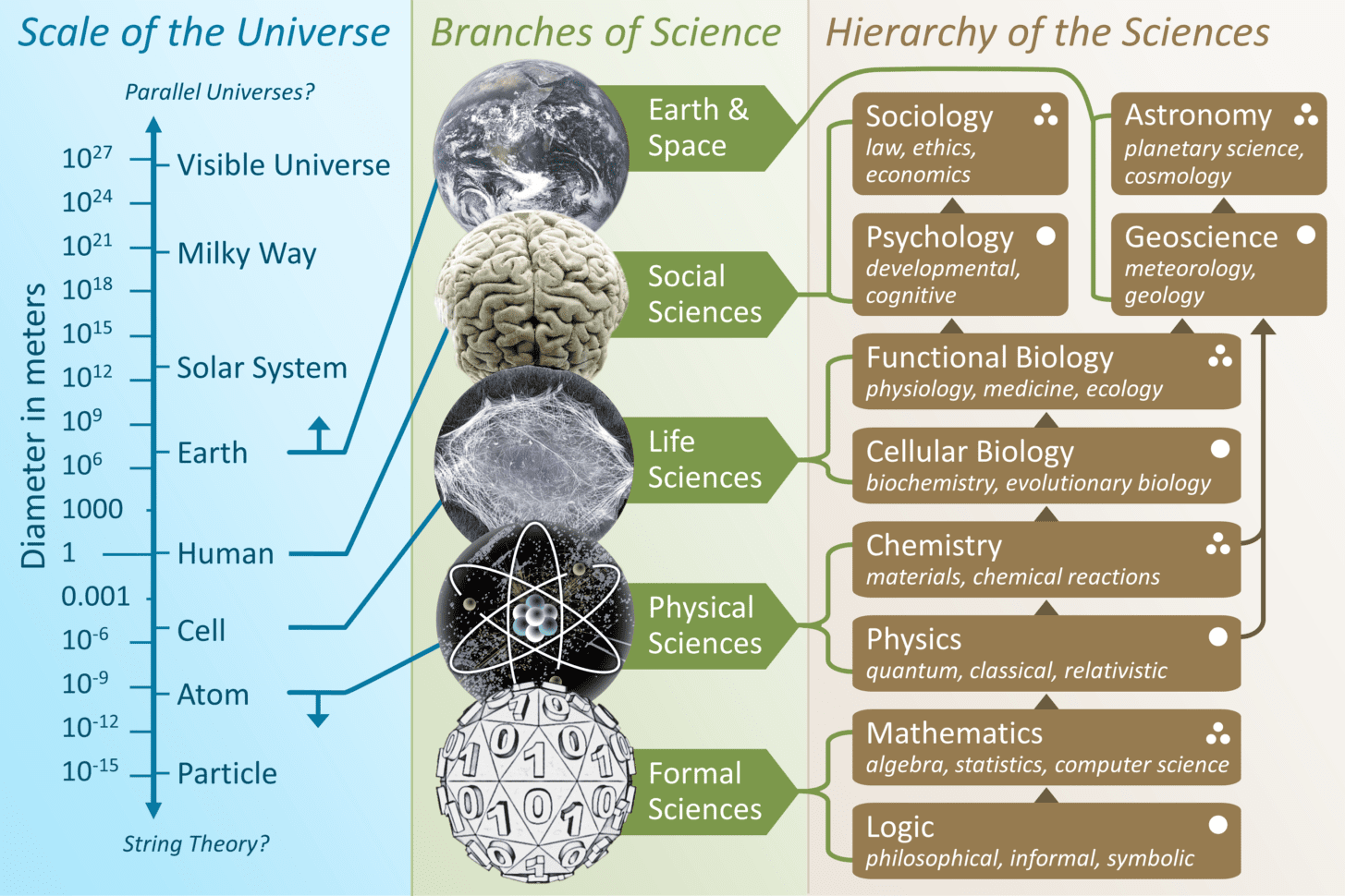 Branches Of Science  Wikipedia