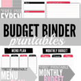 Budget Binder Printables  Single Moms Income