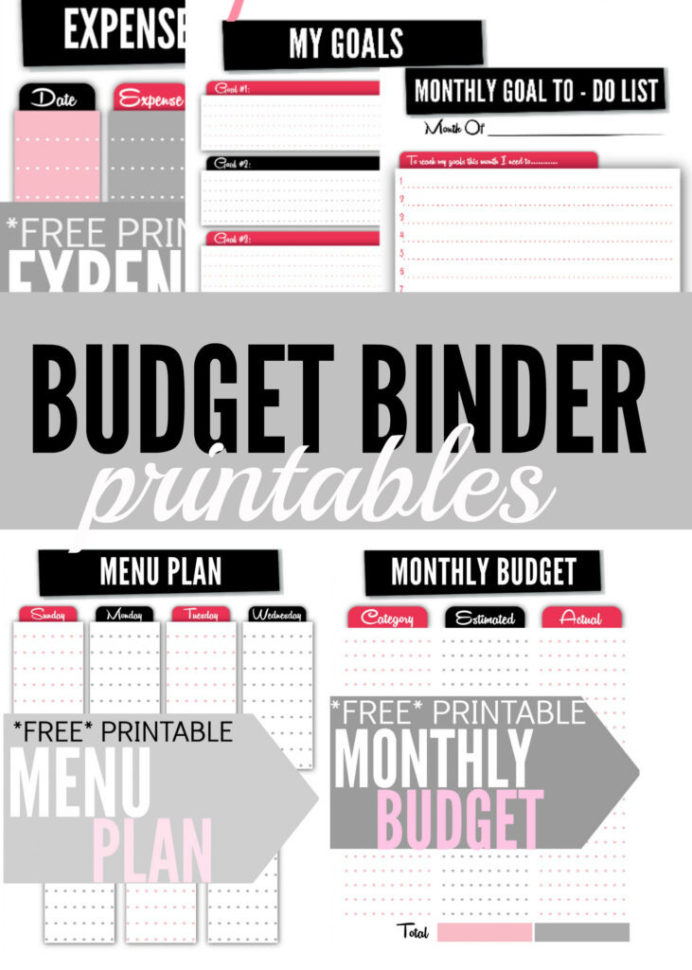 Budget Binder Printables  Single Moms Income