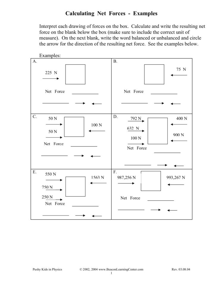 Calculating Net Forces   Pages 1  3  Text Version