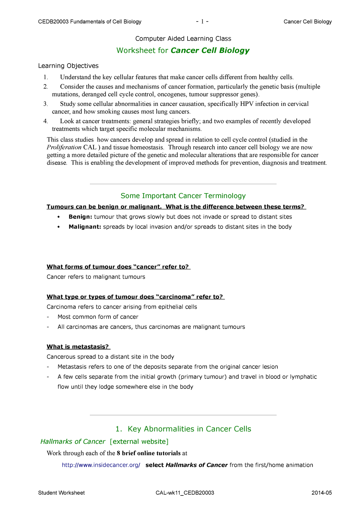 Immortal Cancer Cells Worksheet Answers