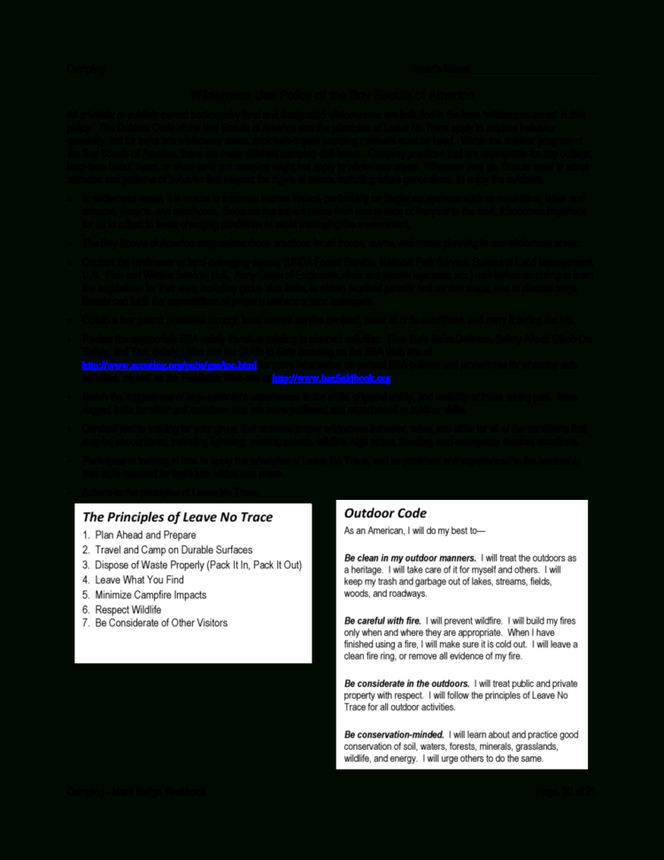 Camping Merit Badge  Simplebooklet