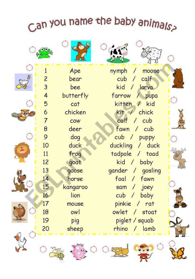Can You Name The Baby Animals  Esl Worksheetrenei