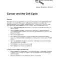 Cancer And The Cell Cycle Teacher Notes
