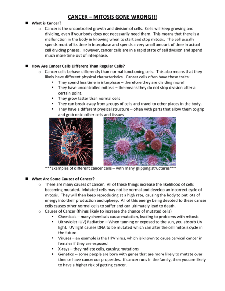 Cancer Out Of Control Cells Worksheet Answer Key