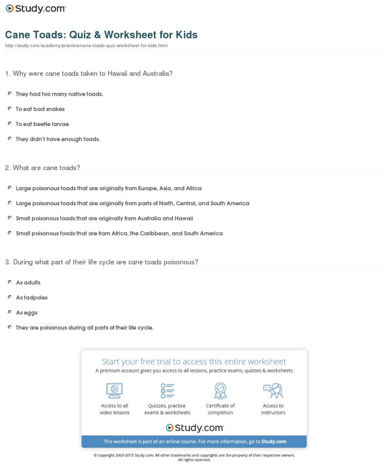 Cane Toads Quiz  Worksheet For Kids  Study