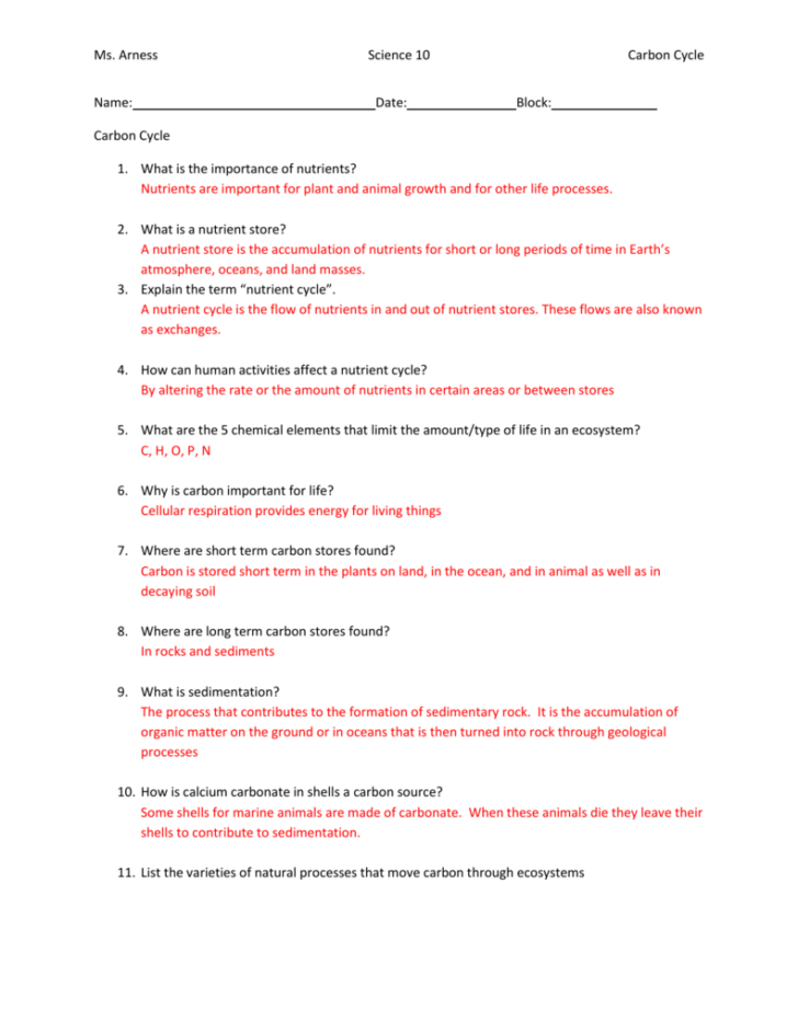 Carbon Cycle Worksheet Answer Key — db-excel.com