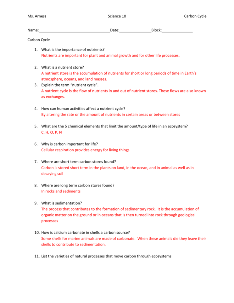 Carbon Cycle Answers