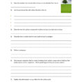 Carbon Cycle Questions Worksheet Pdf  Teachit Science