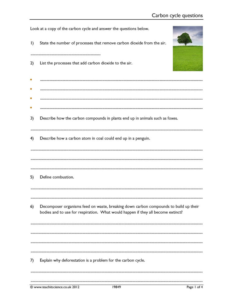 Carbon Cycle Questions Worksheet Pdf  Teachit Science