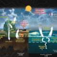 Carbon Cycle  Wikipedia