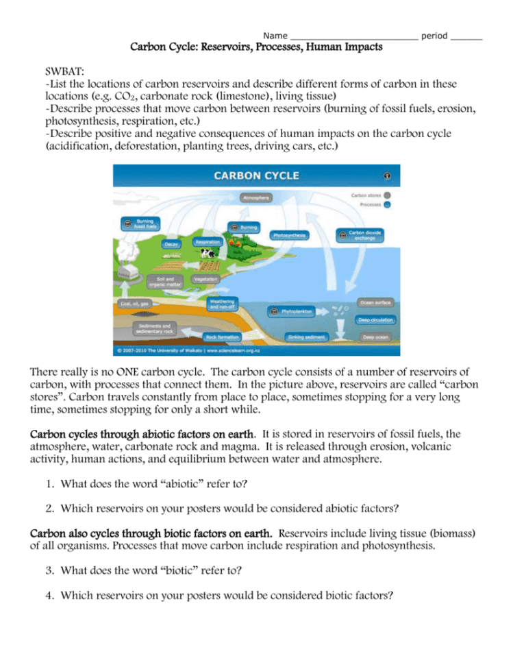 Carbon Cycle Worksheet