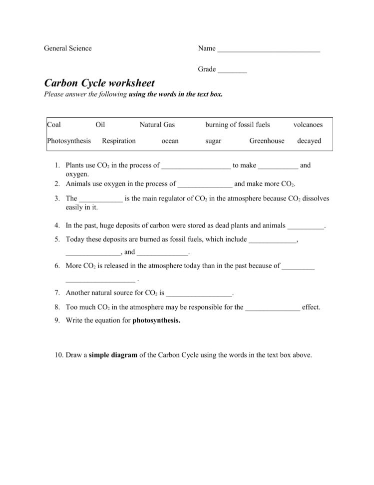 Carbon Cycle Worksheet