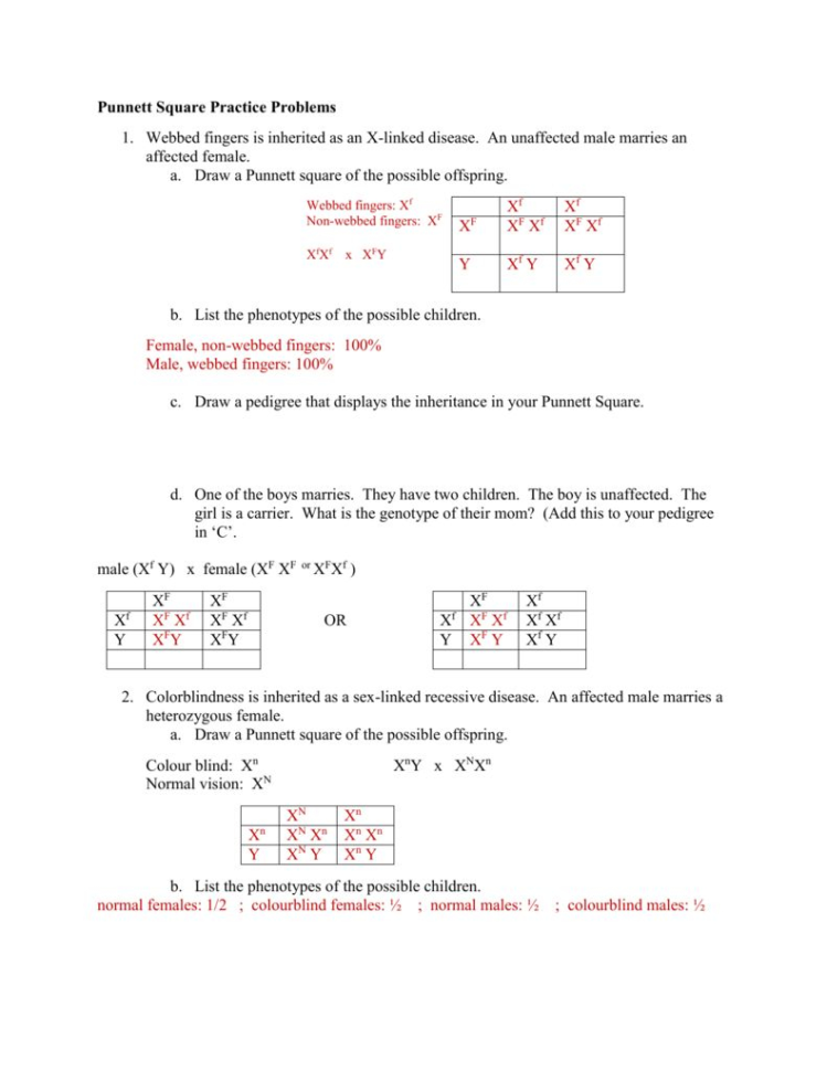 Carbon Footprint Worksheet Answers